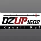 logo DZUP